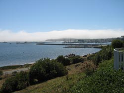 Pillar Point Harbor View