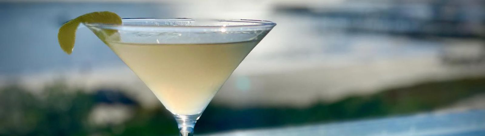 Nikka botanical gin martini with ocean view